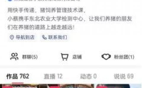 快手主播礼物收入，快手主播排名前十名？