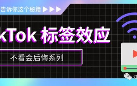 抖音国际版tiktok用不了，外国抖音tiktok怎么看不了？