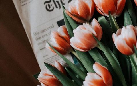 断联以后发朋友圈什么意思，断联不发朋友圈？