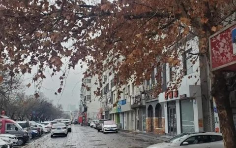 自己开店职业是什么，个人开店需要交税吗？