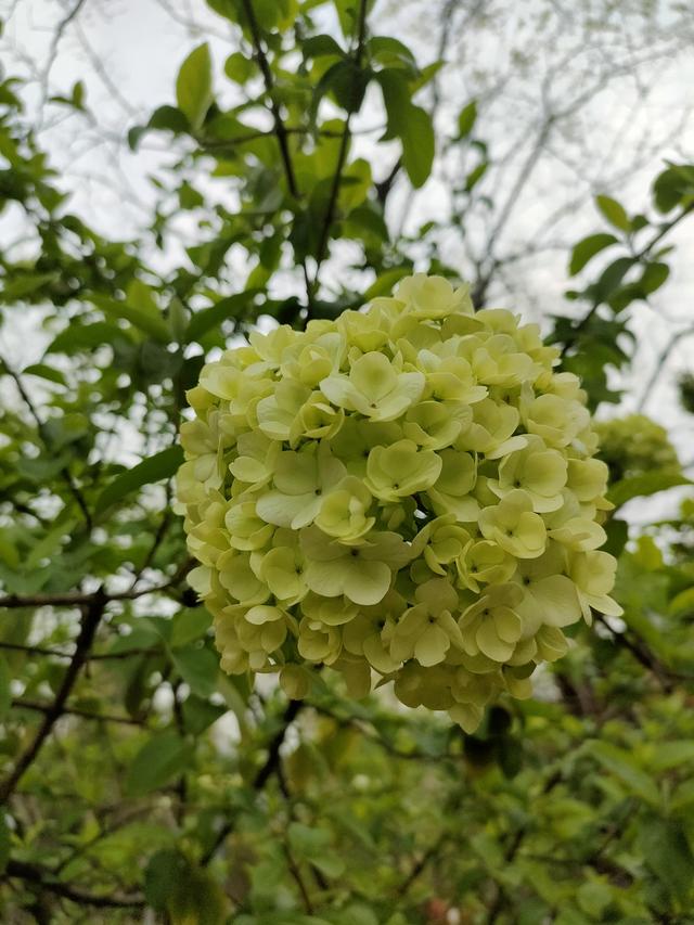 0周岁生日朋友圈说说，女儿十周岁适合发朋友圈的话？"