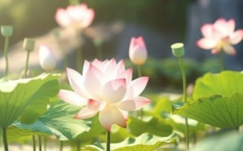 看不到别人的朋友圈是怎么回事，微信看不到别人的朋友圈是怎么回事？