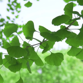 朋友圈英文怎麼說，微信朋友圈英文怎麼說？