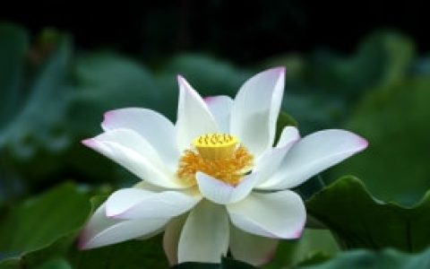 订婚朋友圈文案，订婚朋友圈文案简短？