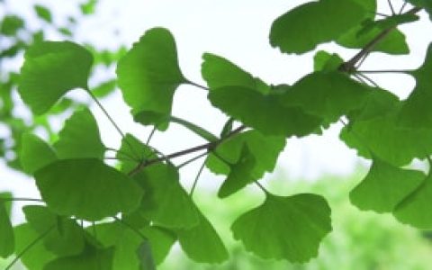 发朋友圈大自然美句，发朋友圈大自然美句一句话图片？