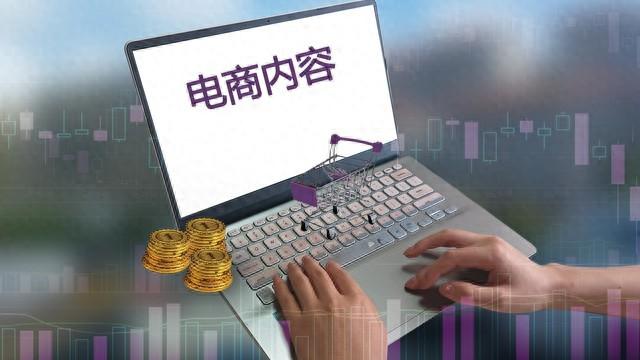 跨境电商系统费用，跨境电商的费用？