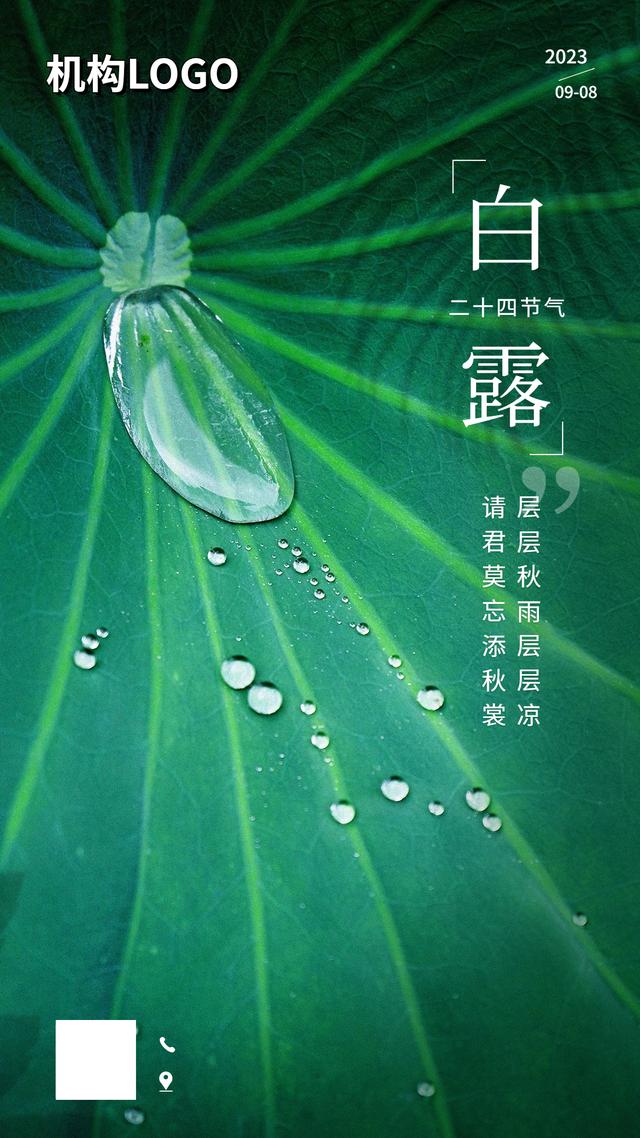 拓客宣传页，拓客宣传单模板？